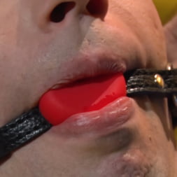 Taking the Edge Off: Big Dicked Maxx Monroe Jerks It Before Pride