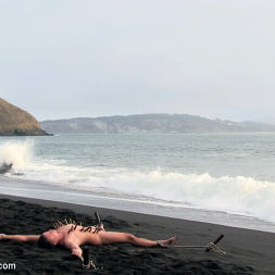 Sex on The Beach