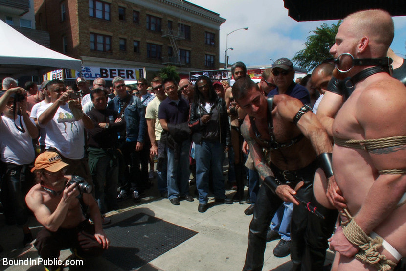 Dore Alley Pig
