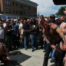 Dore Alley Pig
