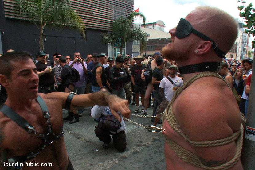 Dore Alley Pig