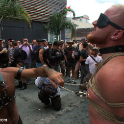 Dore Alley Pig