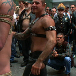 Dore Alley Pig