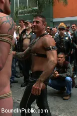 Nick Moretti - Dore Alley Pig | Picture (12)