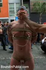 Nick Moretti - Dore Alley Pig | Picture (13)