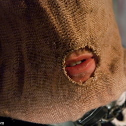 The Slaughterhouse: Part One The Head Butcher