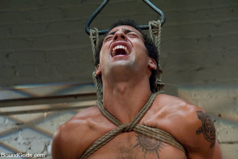 The Slaughterhouse: Part One The Head Butcher