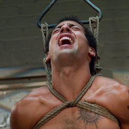 The Slaughterhouse: Part One The Head Butcher