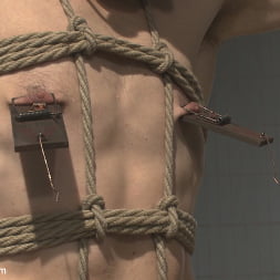 Tormented with mousetraps and fucked into submission