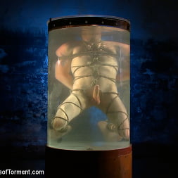Head Buzzed, Ass Stretched and Water Tormented to The Extreme