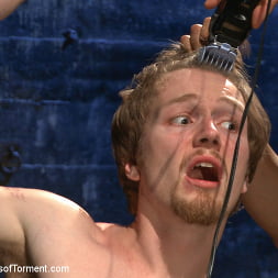 Head Buzzed, Ass Stretched and Water Tormented to The Extreme