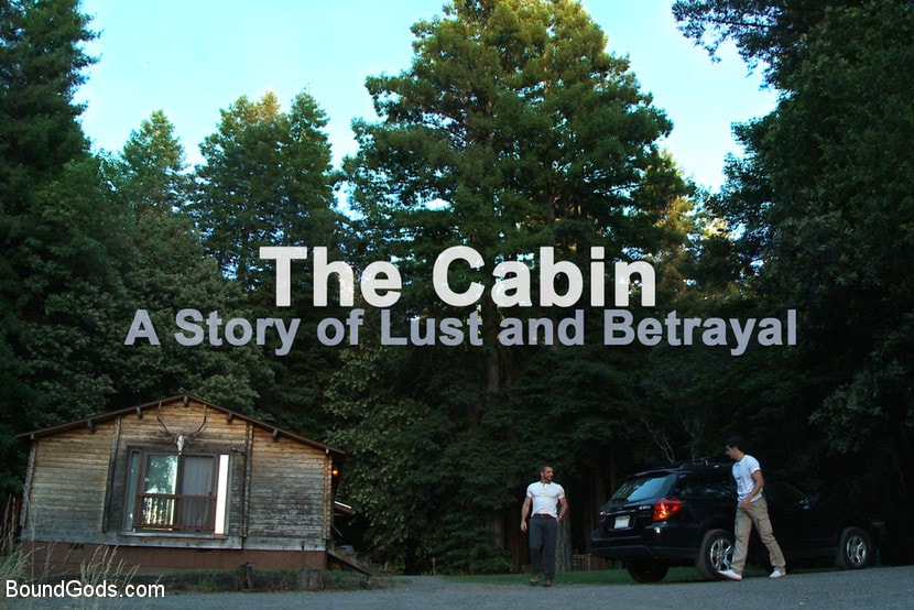 Ricky Sinz - The Cabin - The Story of Lust and Betrayal - Part One | Picture (14)