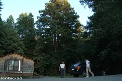 Ricky Sinz - The Cabin - The Story of Lust and Betrayal - Part One | Picture (1)