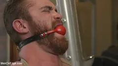 Scott Ambrose - Ginger Muscle God Tormented and Edged in Bondage | Picture (3)