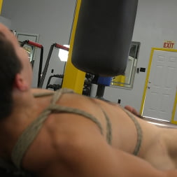 Hairy Hunk Shay Stone Gets Bound, Tickled, and Edged