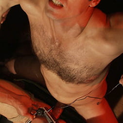 Trent Diesel is part of a human centipede.