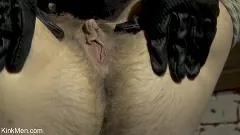 Tyler Castle - Luke Hudson Is So Fucked In The Depraved Hands of Tyler Castle | Picture (2)