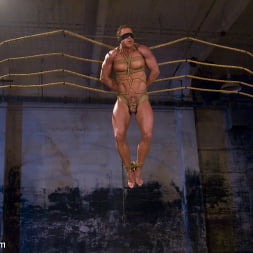 The Bodybuilders and The Onyx