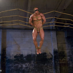 The Bodybuilders and The Onyx