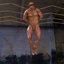 The Bodybuilders and The Onyx
