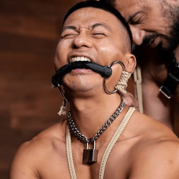 The Puzzle Box: Marco Napoli Dominates Zed Sheng Into Another Dimension